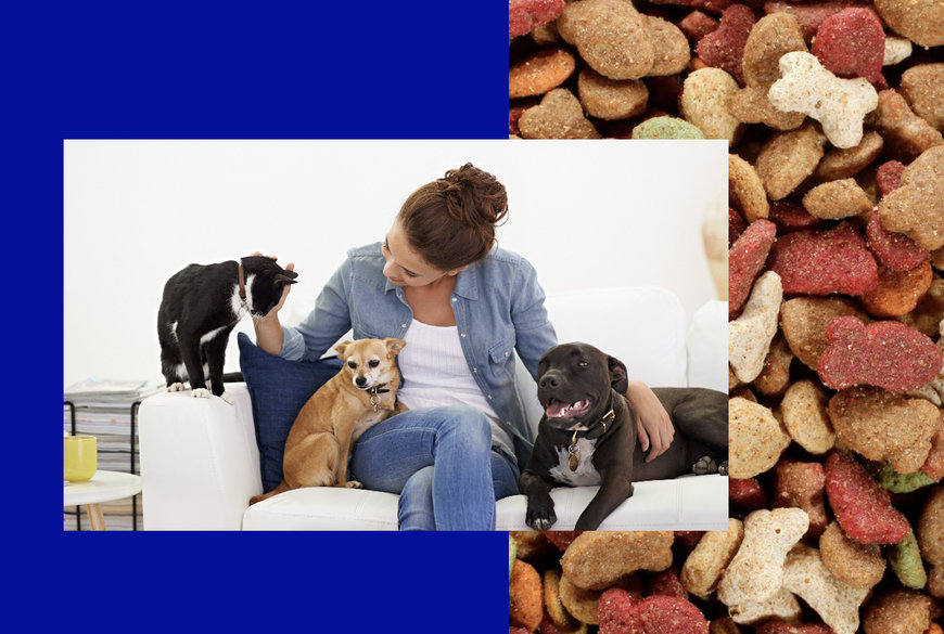 Probiotic and postbiotic supplementation demonstrates gut health effects in adult dogs